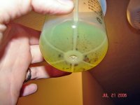 DSC00027A.jpg