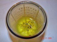 DSC00028A.jpg