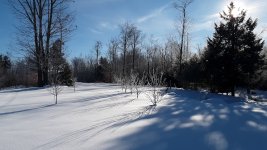 20201219_092720.jpg