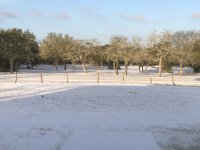 IMG_2806.jpg