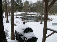 Snow Feb 2021 Ponds Ducks.jpg
