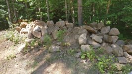 IMG_20200808_130051.jpg