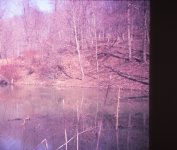 IMG_7223.JPG