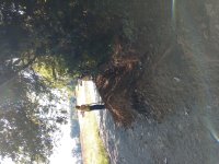 IMG_20201007_111854850.jpg