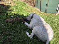 IMG_1508.JPG