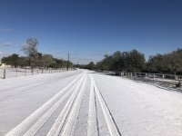 IMG_2816.jpg