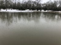 IMG_2827.jpg