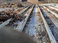 back roof 8x6.jpg
