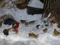 IMG_7601.JPG