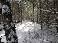 20210217_142846.jpg