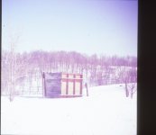 IMG_7255.JPG