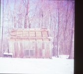 IMG_7253.JPG