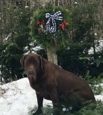 ChristmasCard.jpg