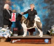 Akita 7 Sat G2 Judge Carolyn Alexander_SSR_9118-GlnRse19-HR3-(ZF-5724-36563-2-001).jpg