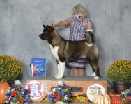 Kaida at Belton and 7 months old Oct 2020.jpg