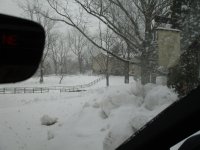 IMG_0168.JPG