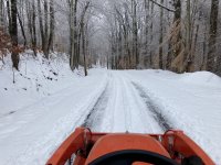 IMG_3129.JPG