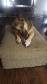 20201226_104924.jpg