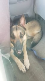 20201226_100323.jpg