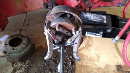 IMG_20201124_110910972.jpg