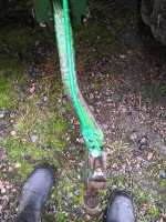 IMG_20201125_140941.jpg