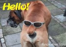 boxerButt.jpg