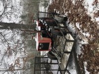 BD789B98-3E0B-4066-B0DF-5689E973E137.jpeg