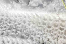 snowPrint.jpeg snowPrint.jpeg