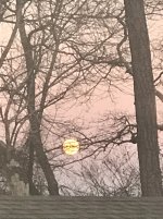 IMG_2028.JPG