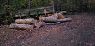 20201016_184534.jpeg