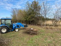 20201024 Pasture East Tree Line 1.JPG 20201024 Pasture East Tree Line 1.JPG