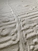 IMG_0857.JPG
