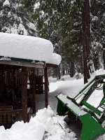 snow 24 hrs.jpg