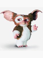 Gizmo.jpg