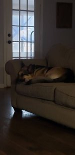 20201128_163402.jpg