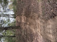IMG_3878.jpg