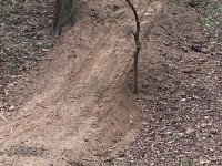 IMG_3884.jpg
