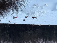 C9417643-6C7D-4B1F-9612-4C19BBF54CB7.jpeg