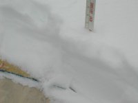 20021205_MD_checkforcopies_146.jpeg