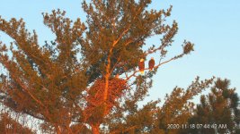 IMG_6662.JPG