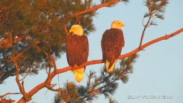 IMG_6663.JPG