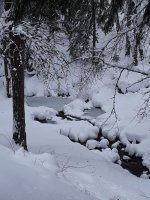 cold creek.jpg