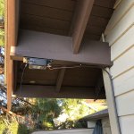 IMG_5120.jpeg