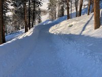 IMG_1875.jpeg