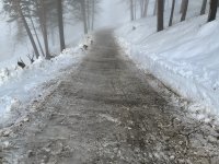 IMG_1908.jpeg