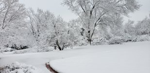 Snow day .jpg