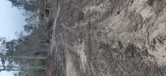 IMG_20210224_173155.jpg