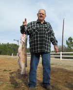 Old Mose Feb 2011.jpg
