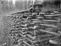 log-bridge.jpg