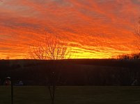 IMG_8245.JPG
